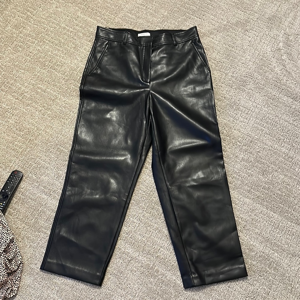 Aritzia Babaton faux leather pants